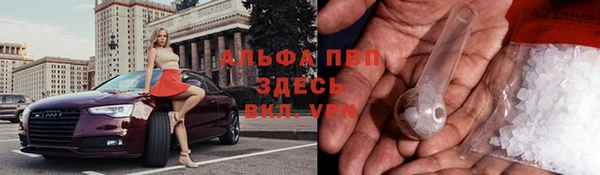 ПСИЛОЦИБИНОВЫЕ ГРИБЫ Магадан