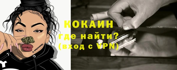 дживик Майский