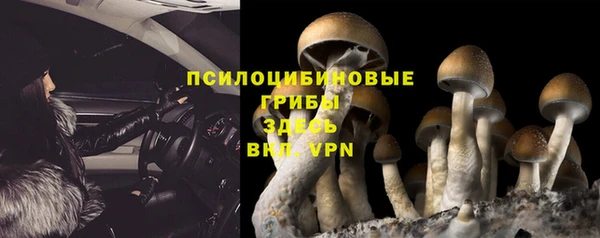 каннабис Магас