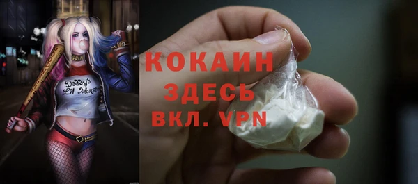 дживик Майский