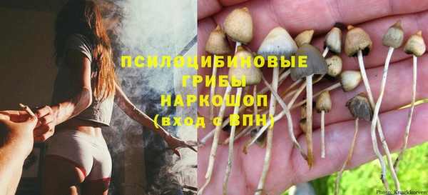 каннабис Магас