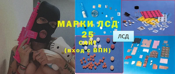 гидра Горняк