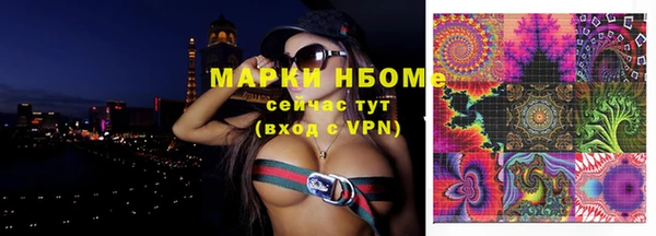 дживик Майский
