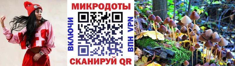 Галлюциногенные грибы мицелий  купить  сайты  Спасск-Рязанский 